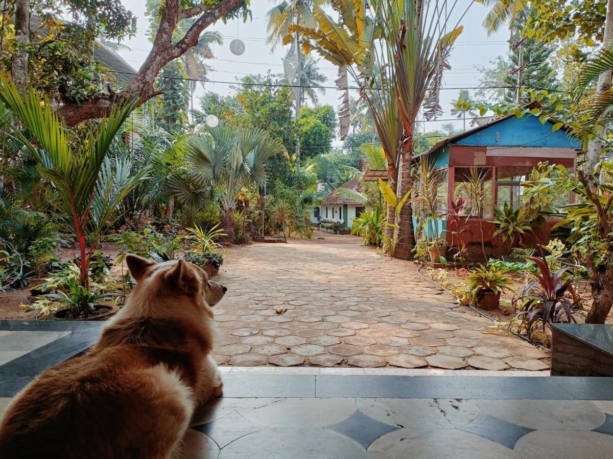 Ritas Apartment วาร์คาลา ภายนอก รูปภาพ